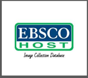 Image Collection Database